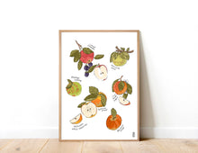 Load image into Gallery viewer, British Heirloom Apples Art Print
