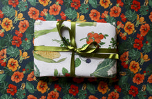 Load image into Gallery viewer, Nasturtium Floral Illustrated Gift Wrap
