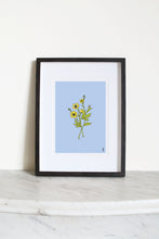 Load image into Gallery viewer, Buttercup Art Print
