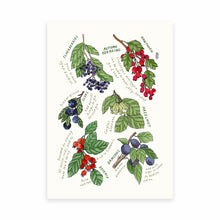 Load image into Gallery viewer, Autumn Foraging Print
