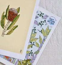 Load image into Gallery viewer, Banksia Flower Art Print
