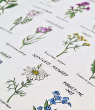 Load image into Gallery viewer, British Wildflowers Art Print
