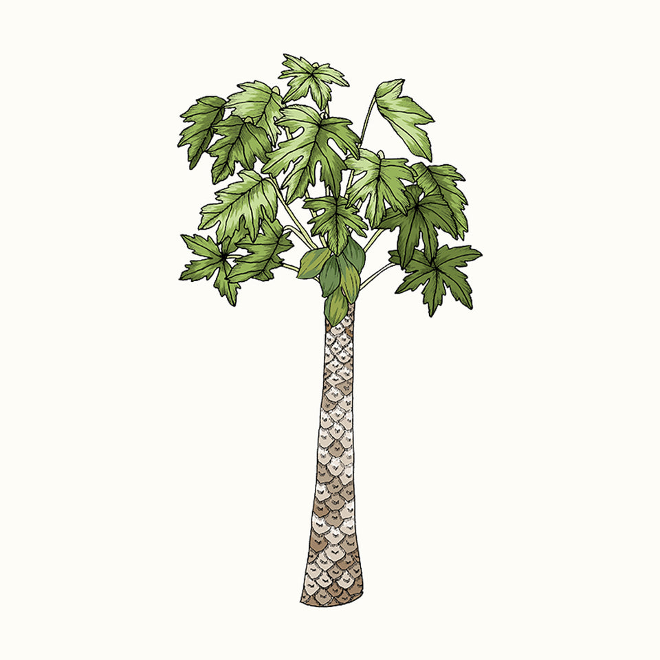 digital illustration of a single papaya tree 