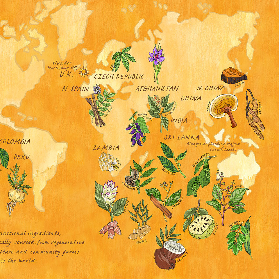 illustrated map of ingredients