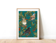 Load image into Gallery viewer, British Birds Art Print. Chaffinch, Blackbird &amp; Wren
