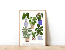 Load image into Gallery viewer, Houseplants Art Print
