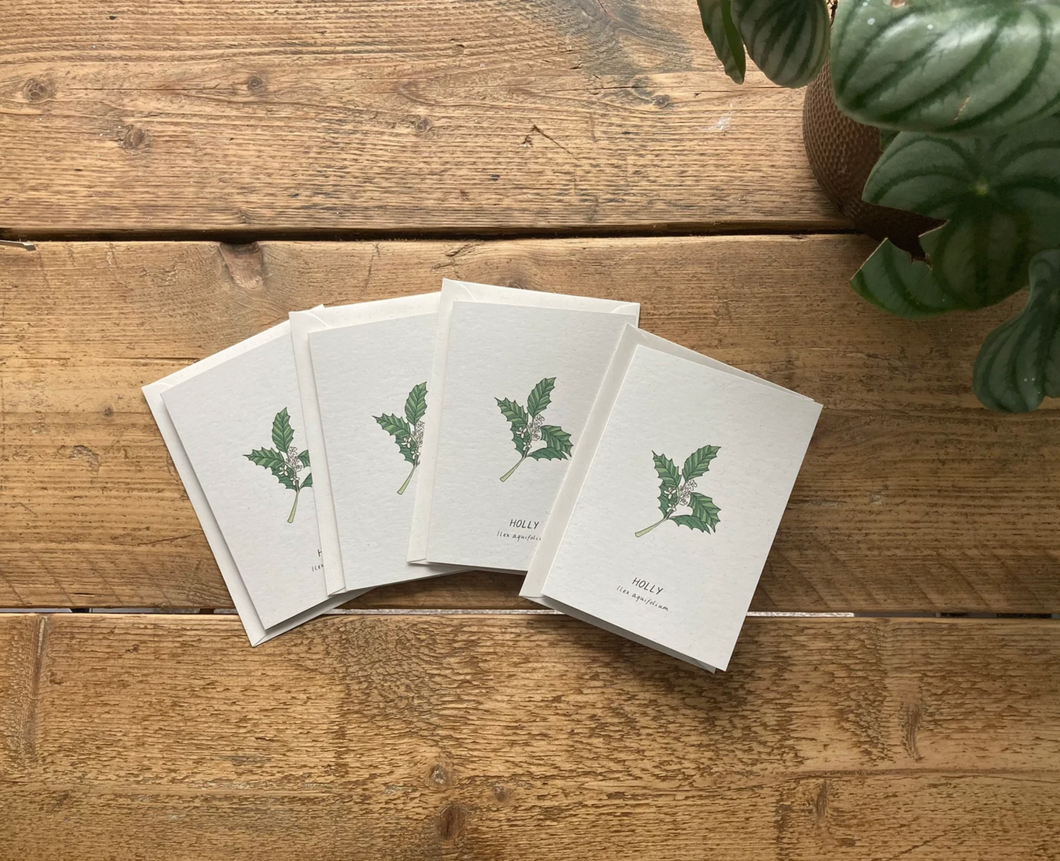 Set of 4 Recycled Holly Cards with recycled envelopes. Christmas Cards. Illustrated Christmas Cards. Set of 4