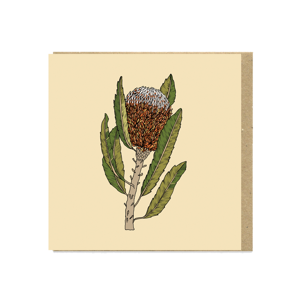 Banksia Flower Greeting Card