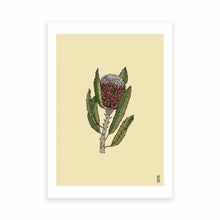Load image into Gallery viewer, Banksia Flower Art Print
