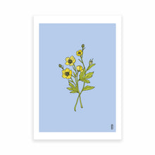 Load image into Gallery viewer, Buttercup Art Print

