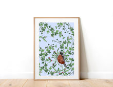 Load image into Gallery viewer, Robin in the Evergreen Art Print
