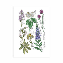Load image into Gallery viewer, Bristol Native Flora Art Print
