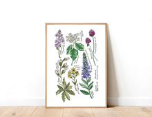 Load image into Gallery viewer, Bristol Native Flora Art Print
