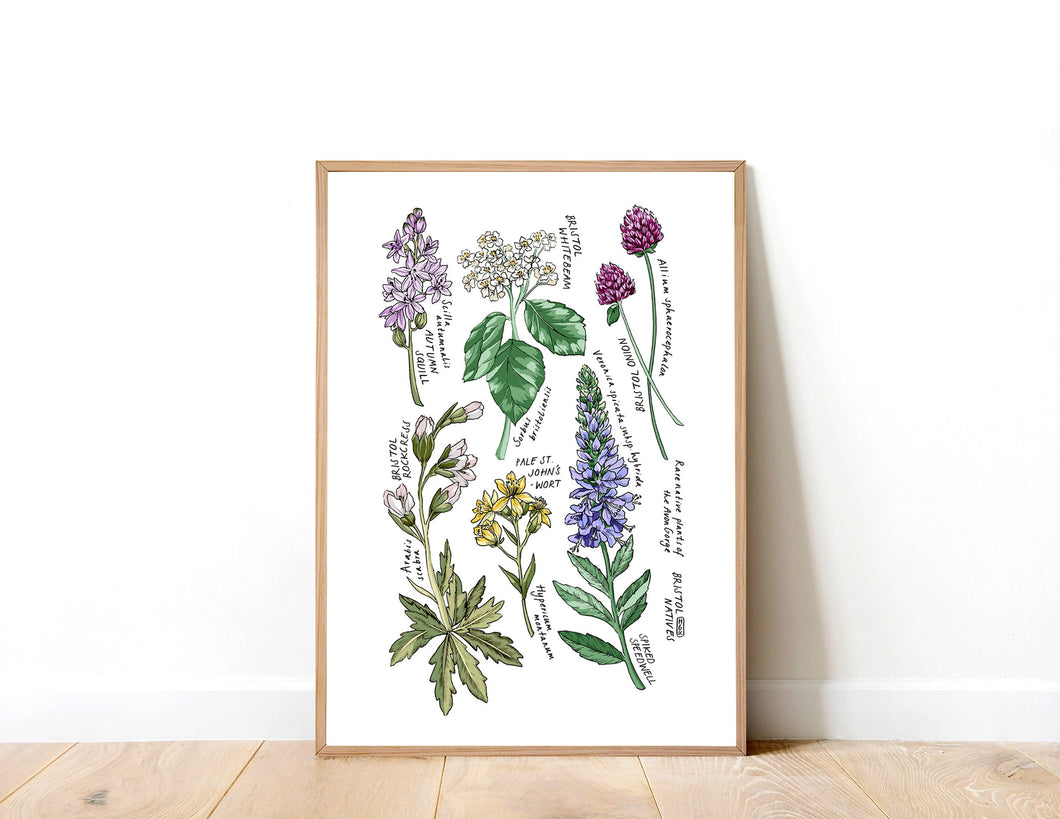 Bristol Native Flora Art Print