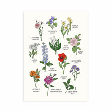 Load image into Gallery viewer, Birth Month Flowers Art Print
