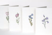 Load image into Gallery viewer, Set of 4 Recycled Wildflower Cards with Recycled Envelopes
