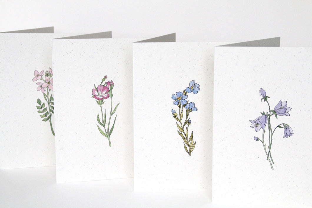 Set of 4 Recycled Wildflower Cards with Recycled Envelopes