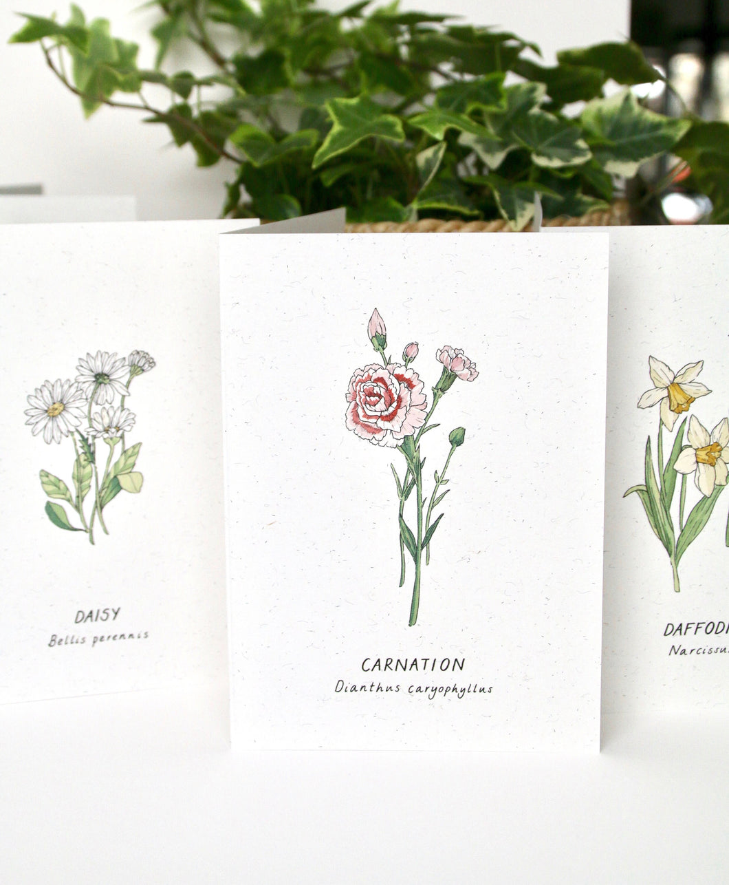 Set of 12 Birth flower recycled Cards with recycled envelopes