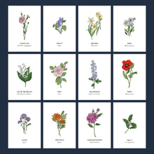 Load image into Gallery viewer, Set of 12 Birth flower recycled Cards with recycled envelopes

