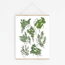 Load image into Gallery viewer, Kitchen Herbs Art Print
