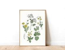 Load image into Gallery viewer, Wildflowers Of Wiltshire Art Print
