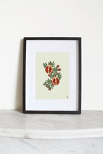 Load image into Gallery viewer, Pomegranates and Butterflies Art Print
