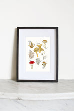 Load image into Gallery viewer, Mushroom Party Art Print
