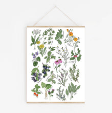 Load image into Gallery viewer, Medicinal Herbs Through The Seasons Art Print
