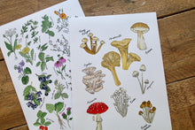 Load image into Gallery viewer, Mushroom Party Art Print
